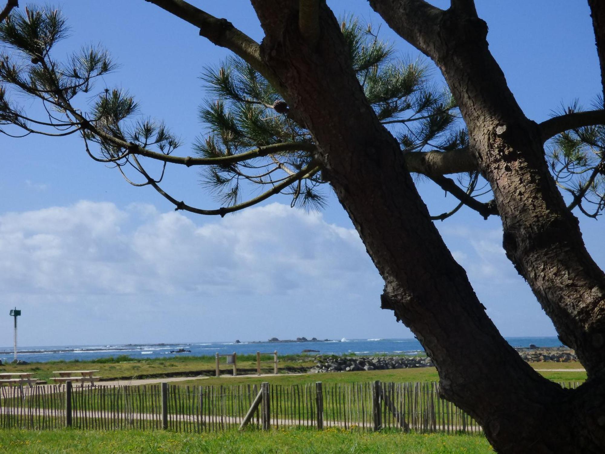 APPART-STUDIOS VUE MER PANORAMIQUE ST GUENOLE Côté Mer Penmarc'h Phòng bức ảnh